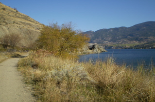 The KVR rail bed follows the west shore of Skaha Lake, Kettle Valley Railway Okanagan Falls to Penticton, 2010-10.